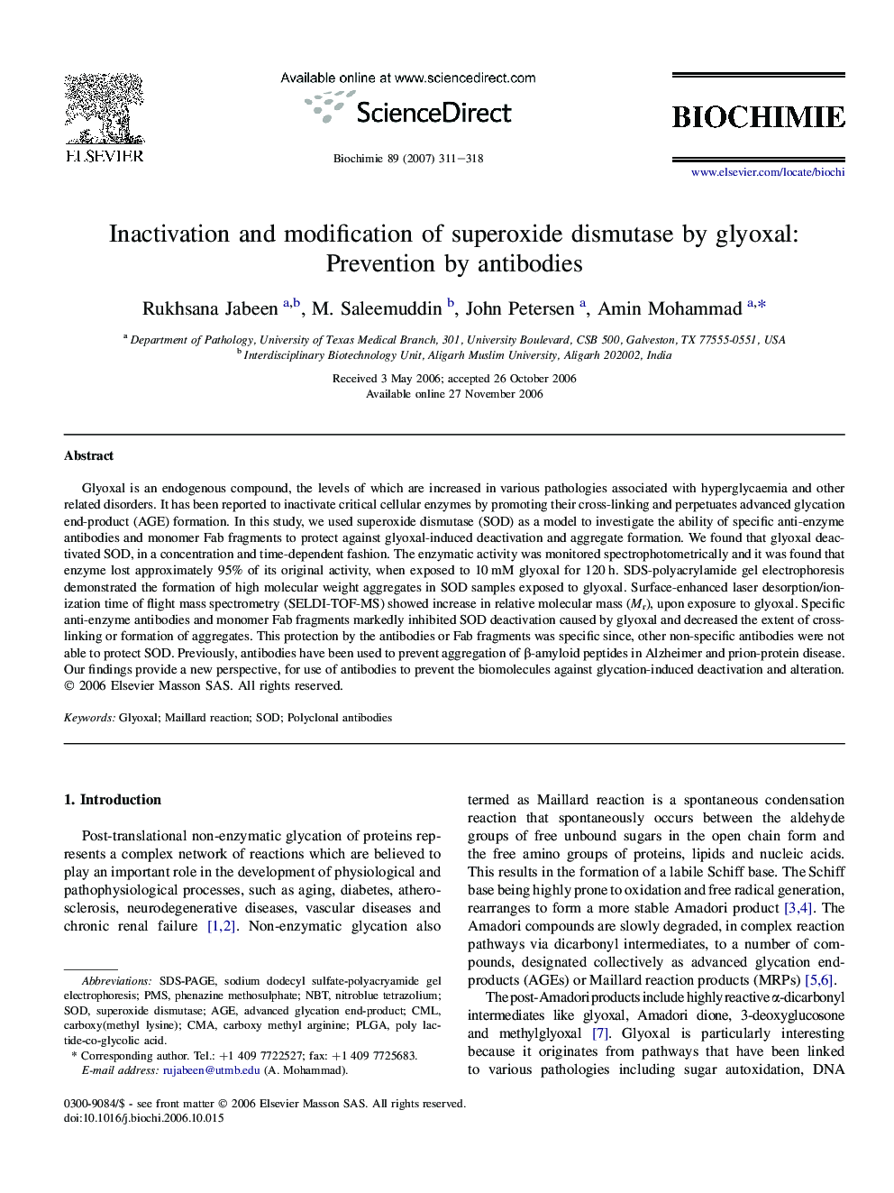 Inactivation and modification of superoxide dismutase by glyoxal: Prevention by antibodies