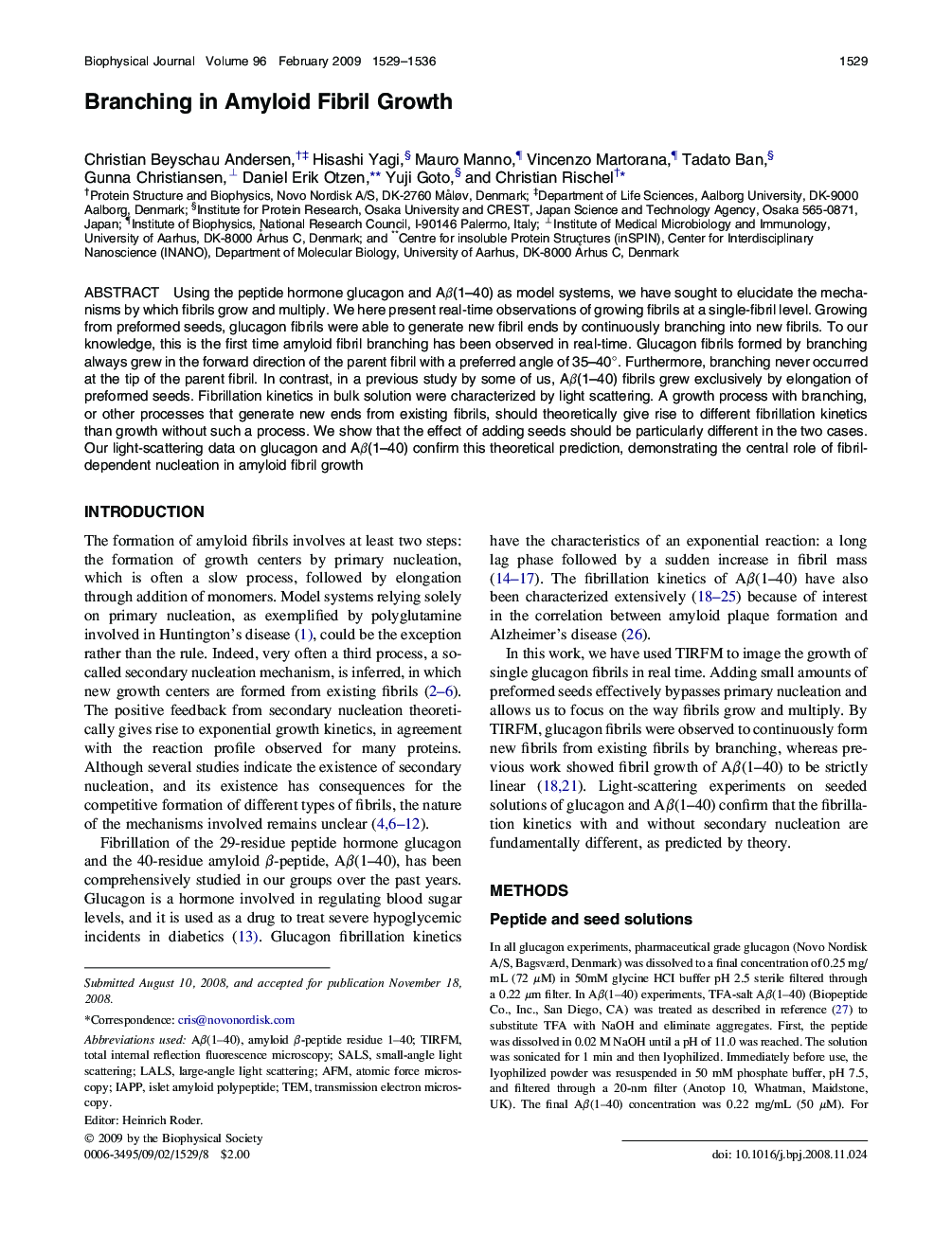 Branching in Amyloid Fibril Growth