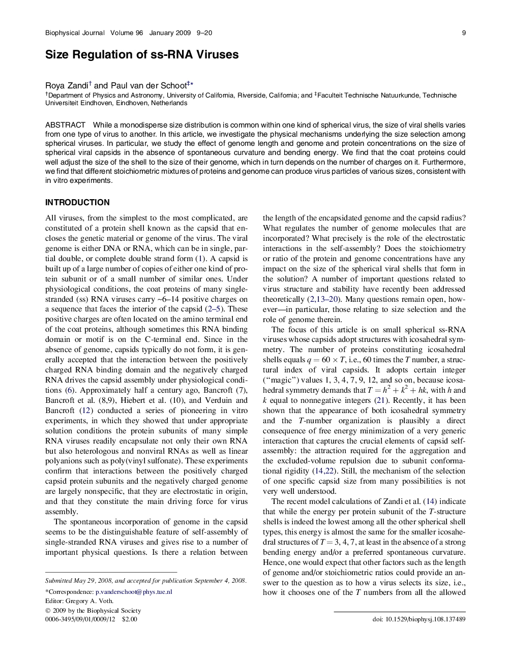 Size Regulation of ss-RNA Viruses