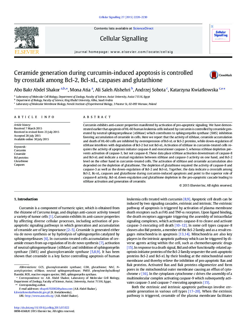 Ceramide generation during curcumin-induced apoptosis is controlled by crosstalk among Bcl-2, Bcl-xL, caspases and glutathione