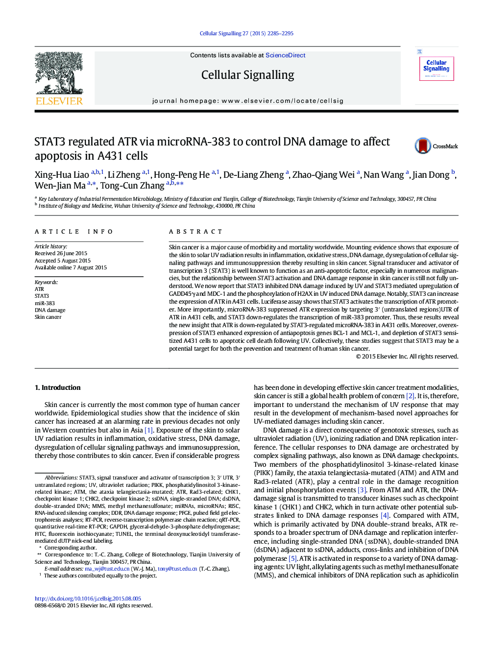 STAT3 regulated ATR via microRNA-383 to control DNA damage to affect apoptosis in A431 cells