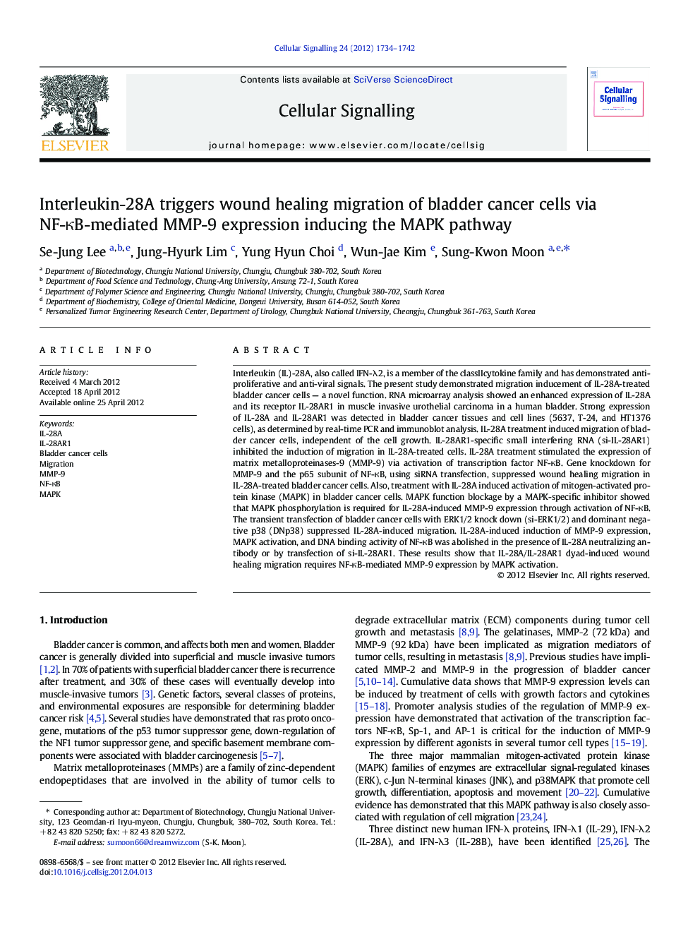 Interleukin-28A triggers wound healing migration of bladder cancer cells via NF-κB-mediated MMP-9 expression inducing the MAPK pathway