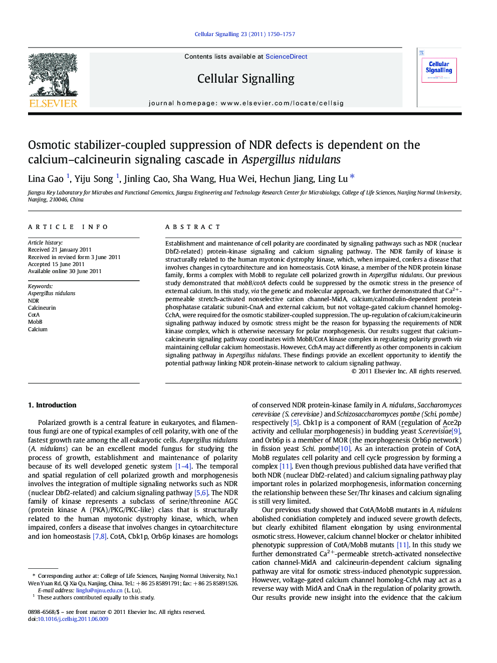 Osmotic stabilizer-coupled suppression of NDR defects is dependent on the calcium–calcineurin signaling cascade in Aspergillus nidulans