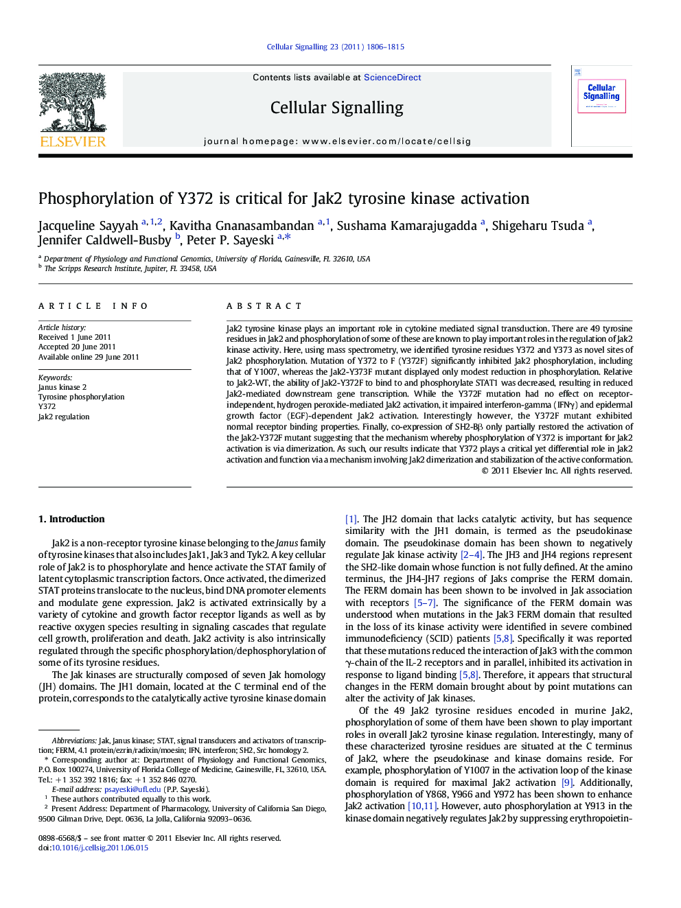 Phosphorylation of Y372 is critical for Jak2 tyrosine kinase activation