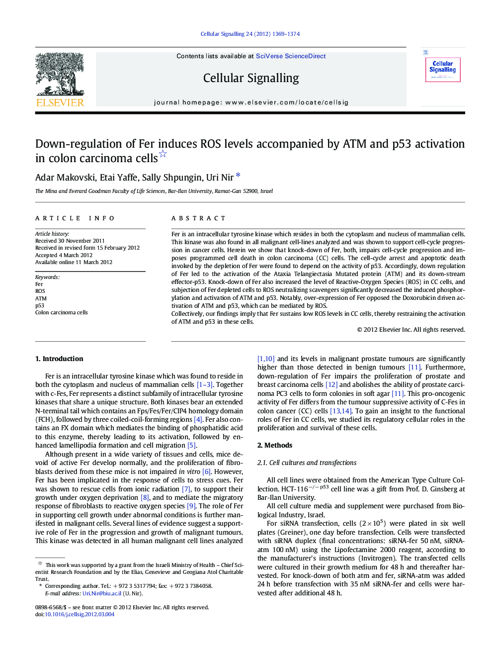 Down-regulation of Fer induces ROS levels accompanied by ATM and p53 activation in colon carcinoma cells 