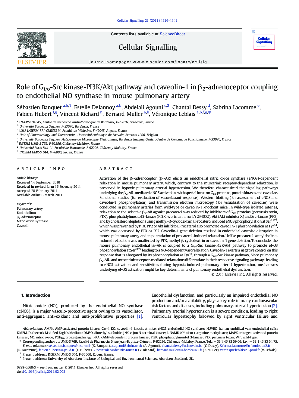 Role of Gi/o-Src kinase-PI3K/Akt pathway and caveolin-1 in β2-adrenoceptor coupling to endothelial NO synthase in mouse pulmonary artery