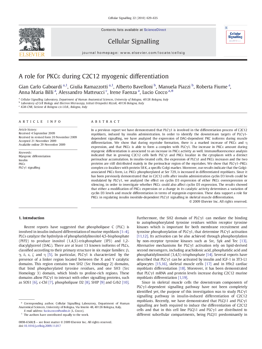 A role for PKCε during C2C12 myogenic differentiation