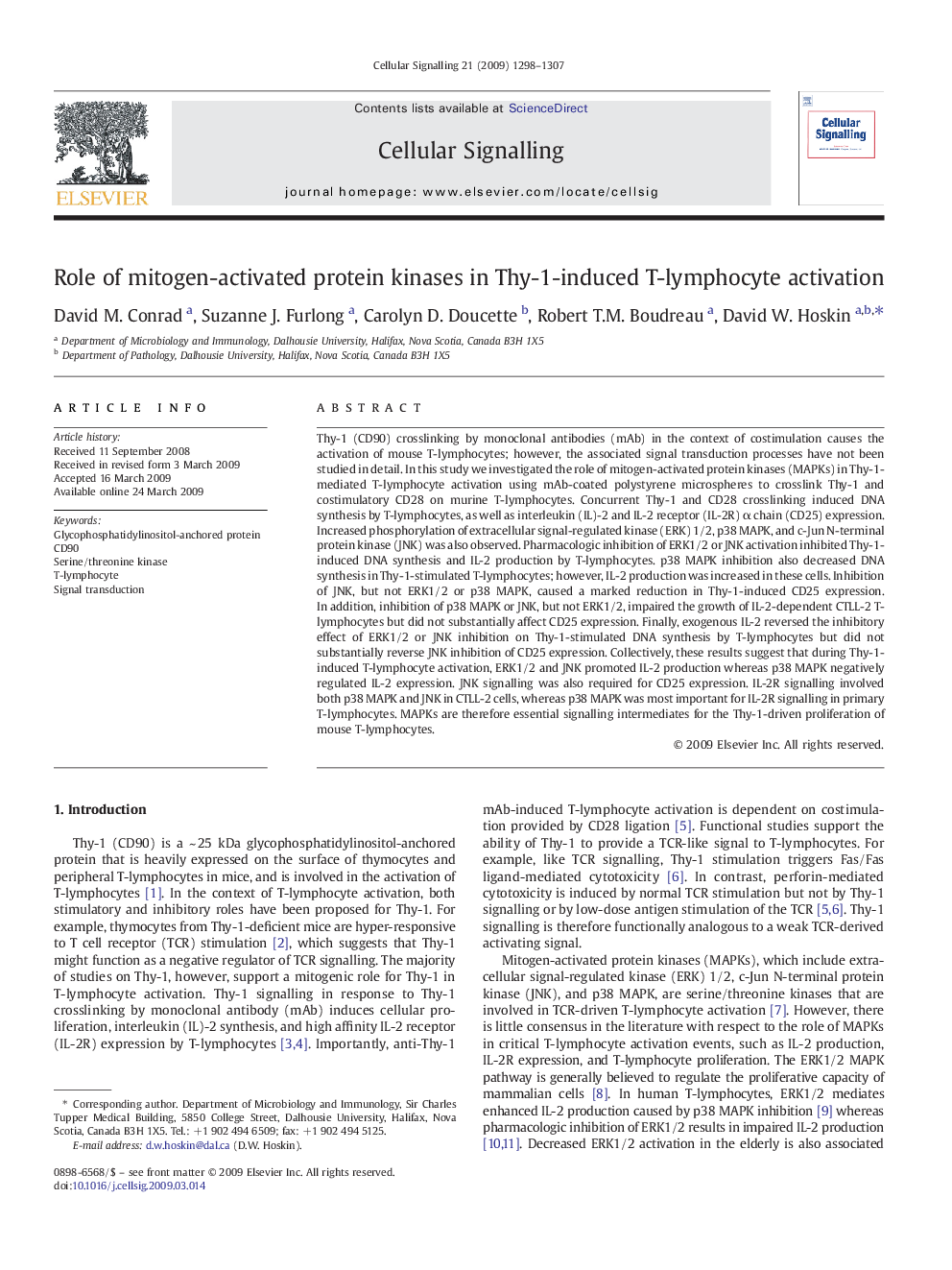 Role of mitogen-activated protein kinases in Thy-1-induced T-lymphocyte activation