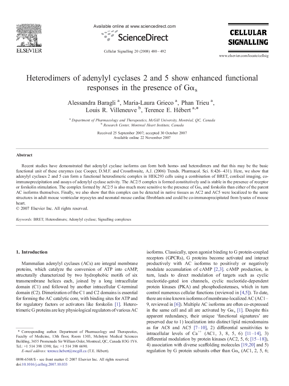 Heterodimers of adenylyl cyclases 2 and 5 show enhanced functional responses in the presence of Gαs