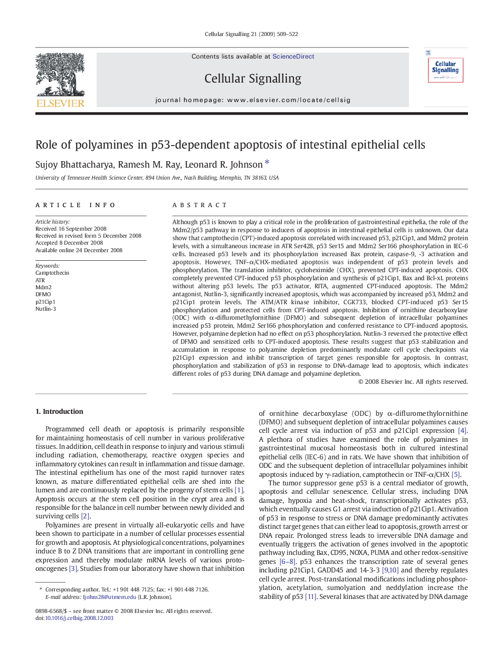 Role of polyamines in p53-dependent apoptosis of intestinal epithelial cells