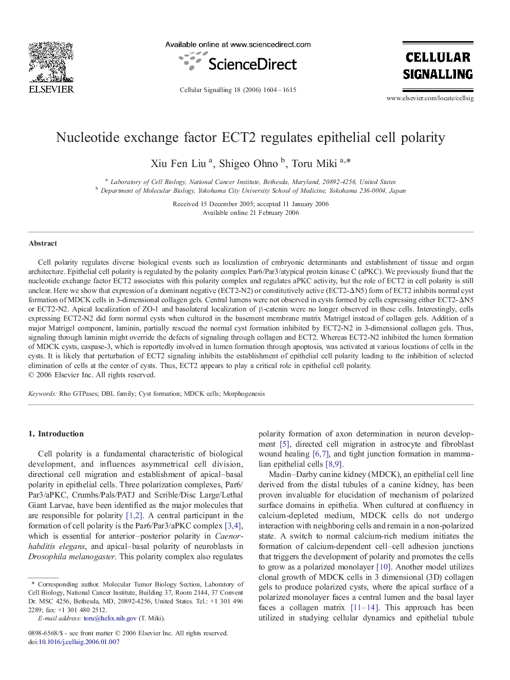 Nucleotide exchange factor ECT2 regulates epithelial cell polarity