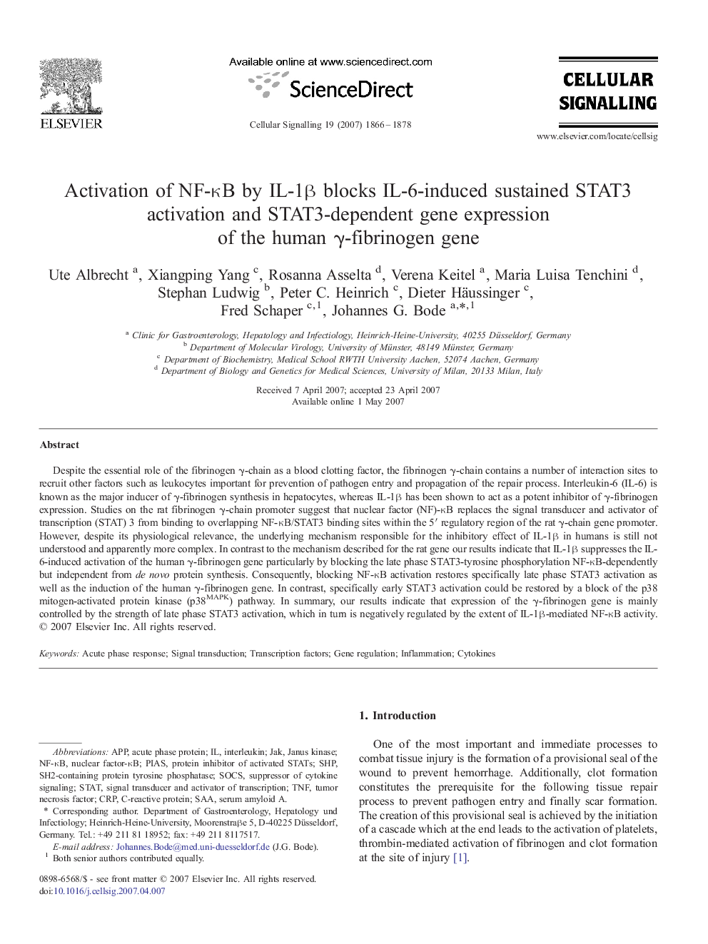 Activation of NF-κB by IL-1β blocks IL-6-induced sustained STAT3 activation and STAT3-dependent gene expression of the human γ-fibrinogen gene