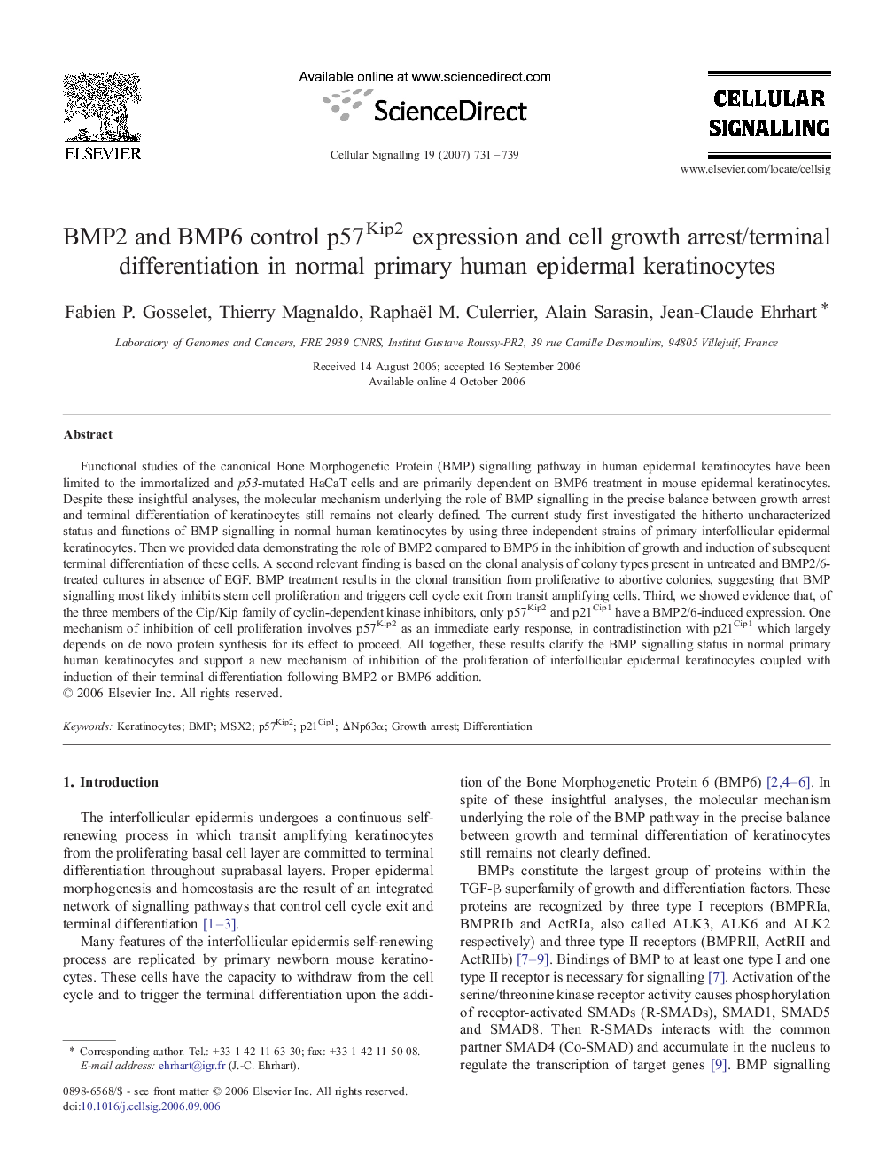 BMP2 and BMP6 control p57Kip2 expression and cell growth arrest/terminal differentiation in normal primary human epidermal keratinocytes