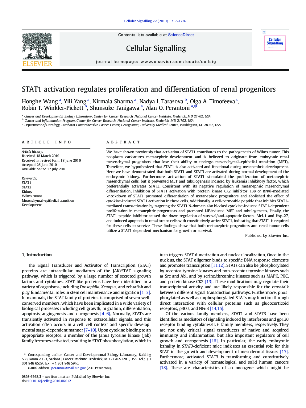 STAT1 activation regulates proliferation and differentiation of renal progenitors