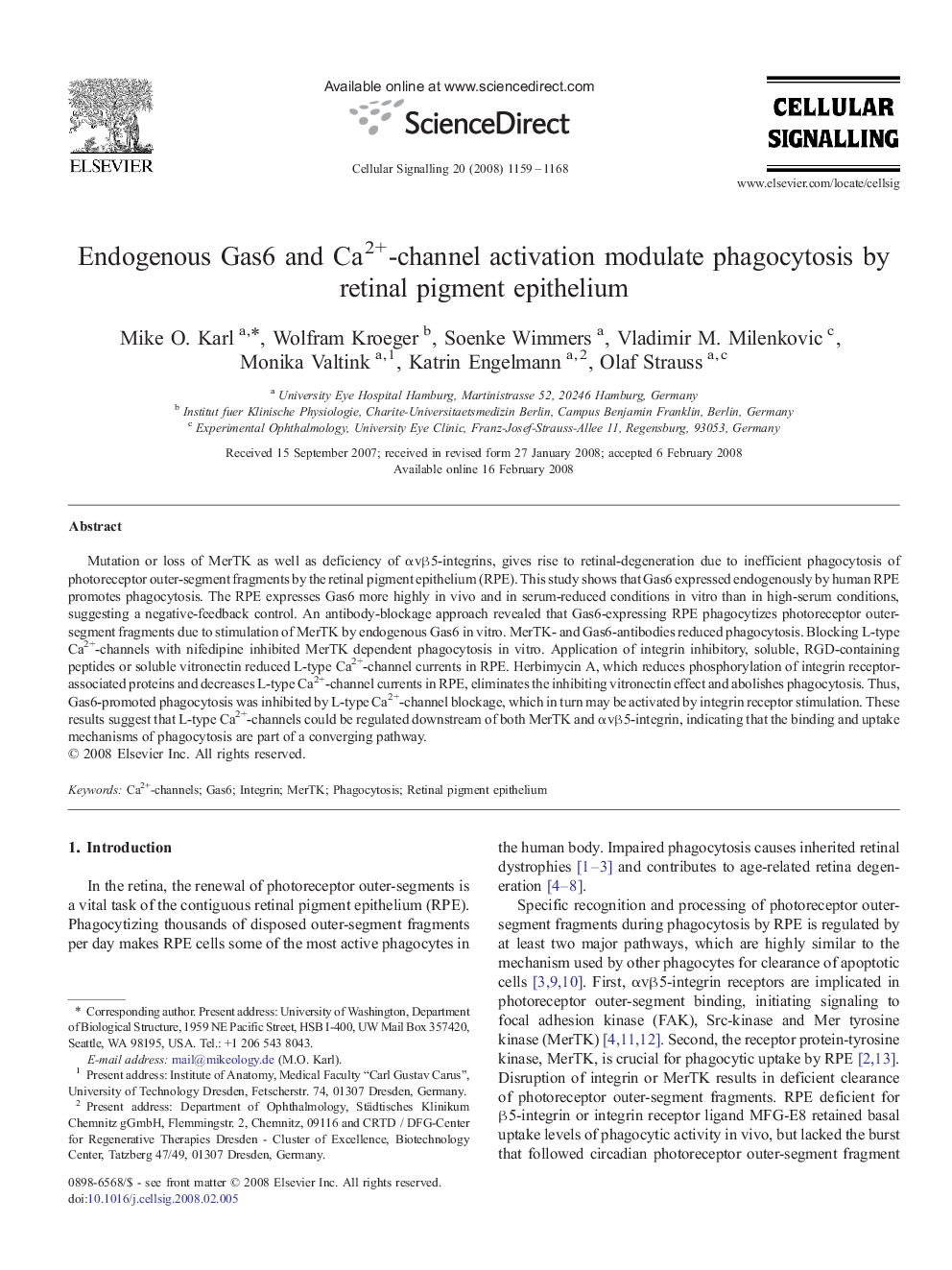 Endogenous Gas6 and Ca2+-channel activation modulate phagocytosis by retinal pigment epithelium