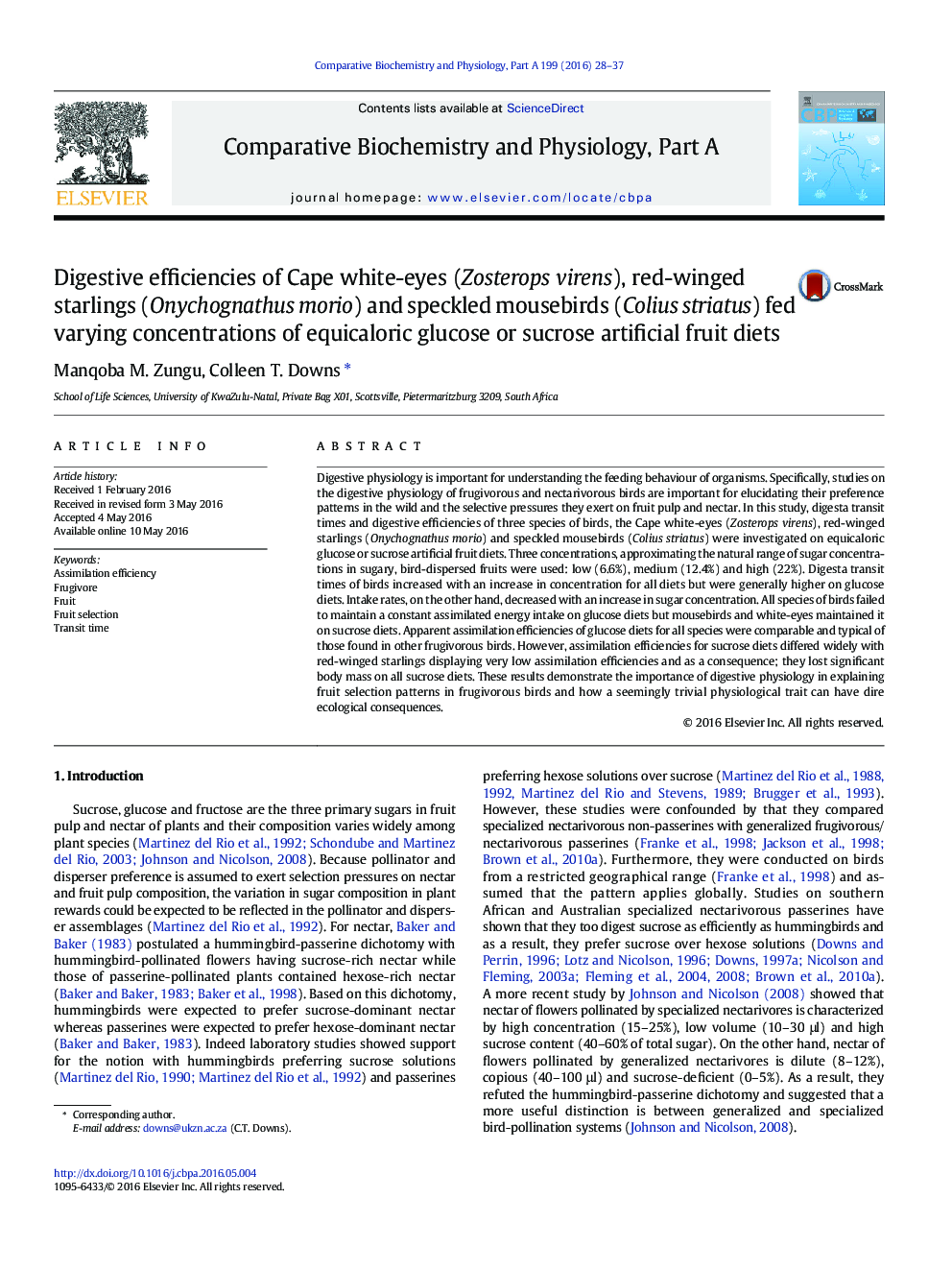 Digestive efficiencies of Cape white-eyes (Zosterops virens), red-winged starlings (Onychognathus morio) and speckled mousebirds (Colius striatus) fed varying concentrations of equicaloric glucose or sucrose artificial fruit diets