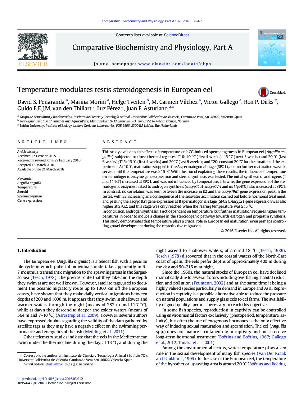 Temperature modulates testis steroidogenesis in European eel