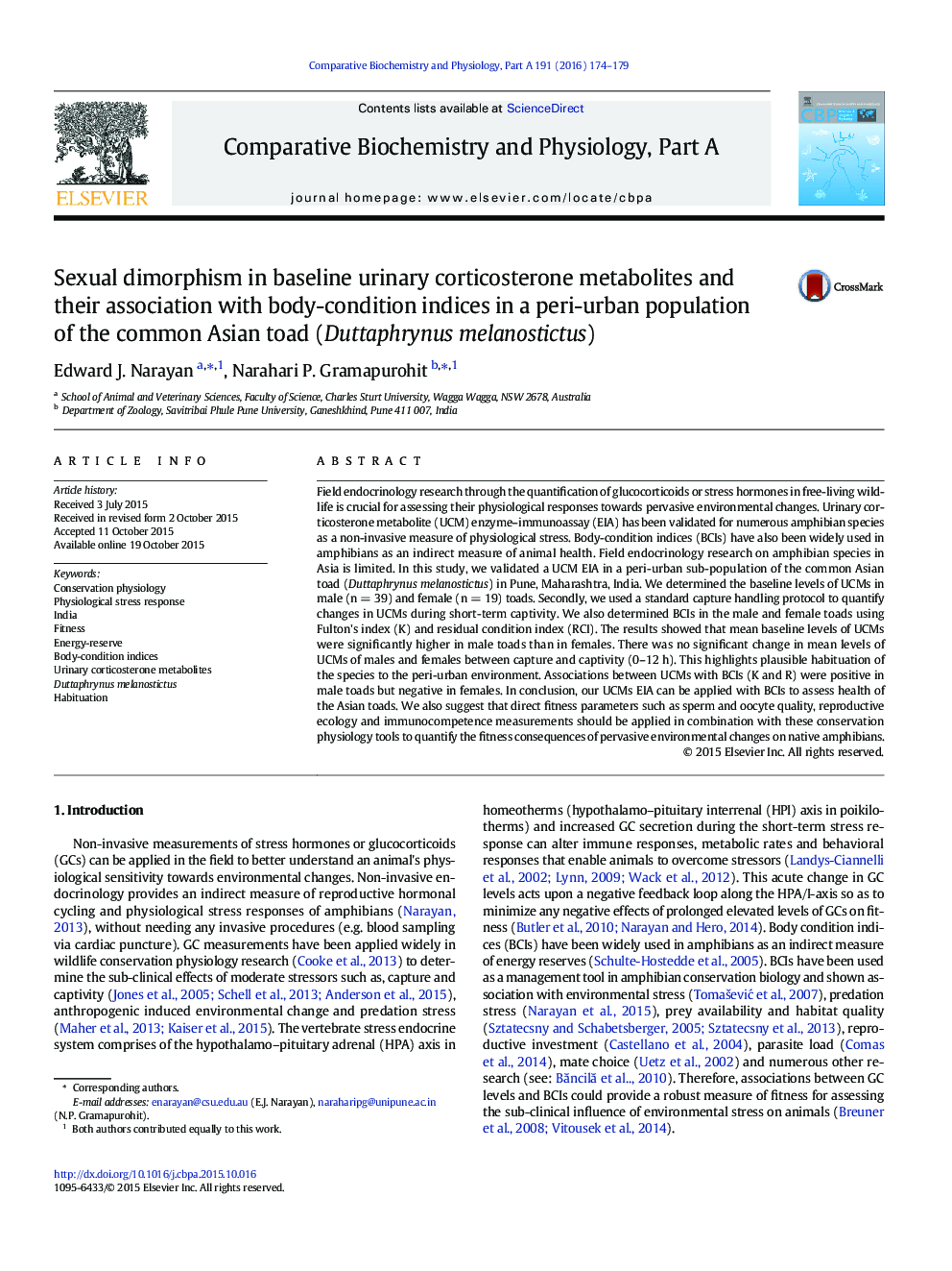 Sexual dimorphism in baseline urinary corticosterone metabolites and their association with body-condition indices in a peri-urban population of the common Asian toad (Duttaphrynus melanostictus)