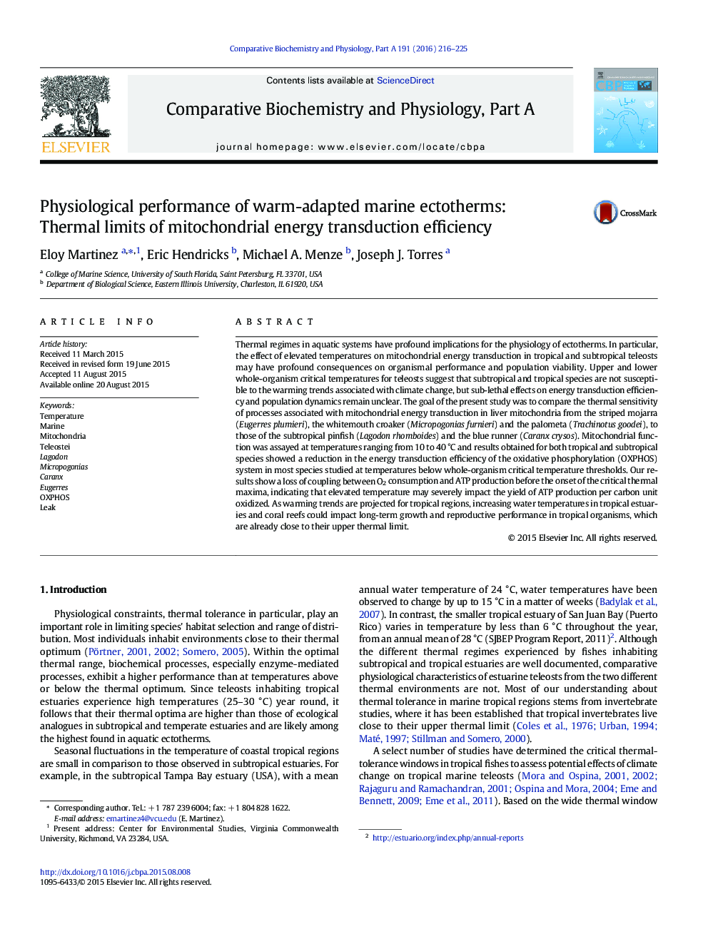 Physiological performance of warm-adapted marine ectotherms: Thermal limits of mitochondrial energy transduction efficiency