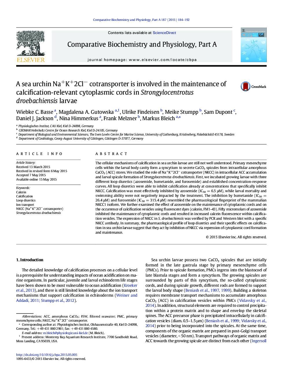 A sea urchin Na+K+2Cl− cotransporter is involved in the maintenance of calcification-relevant cytoplasmic cords in Strongylocentrotus droebachiensis larvae