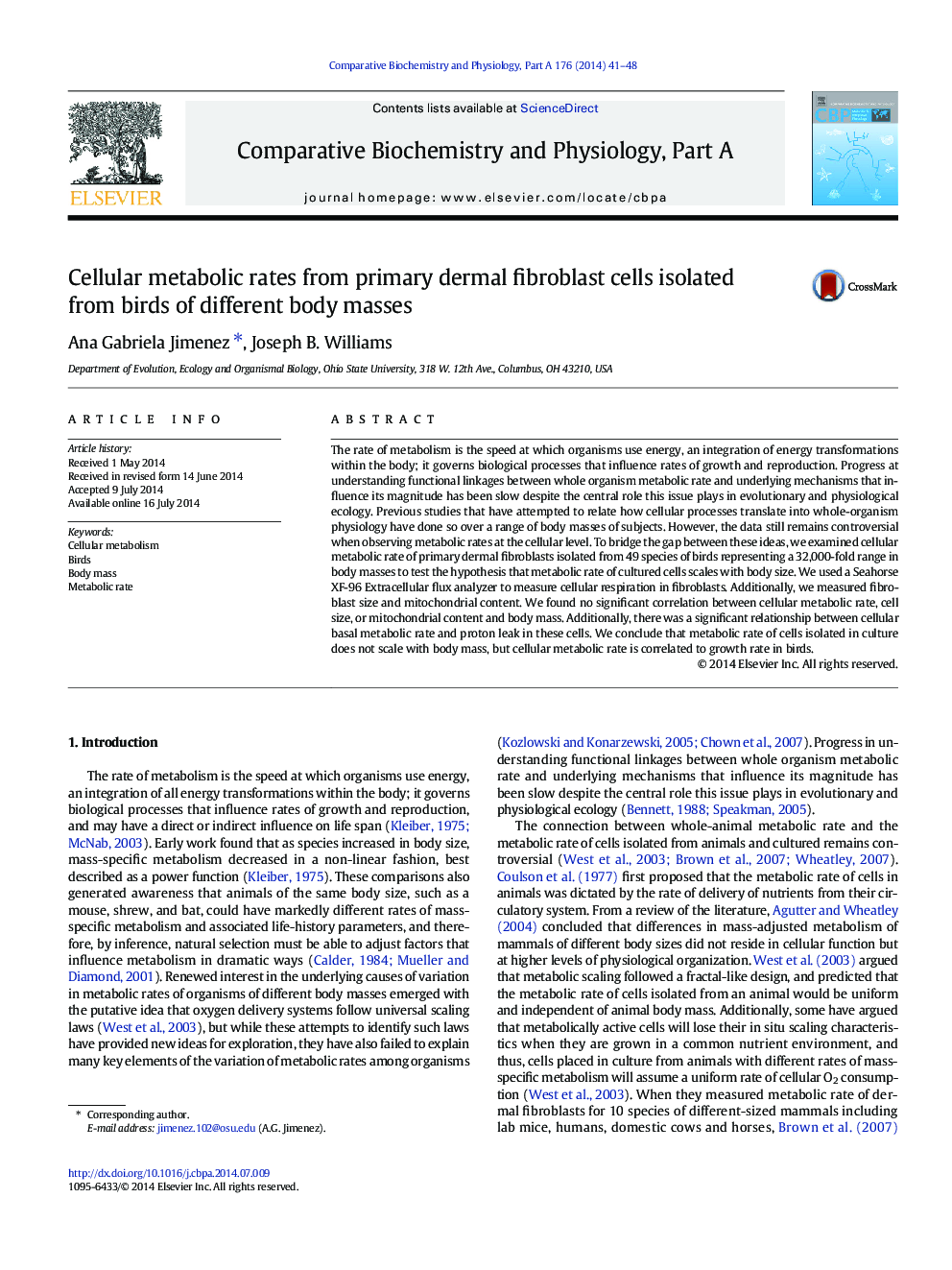 Cellular metabolic rates from primary dermal fibroblast cells isolated from birds of different body masses