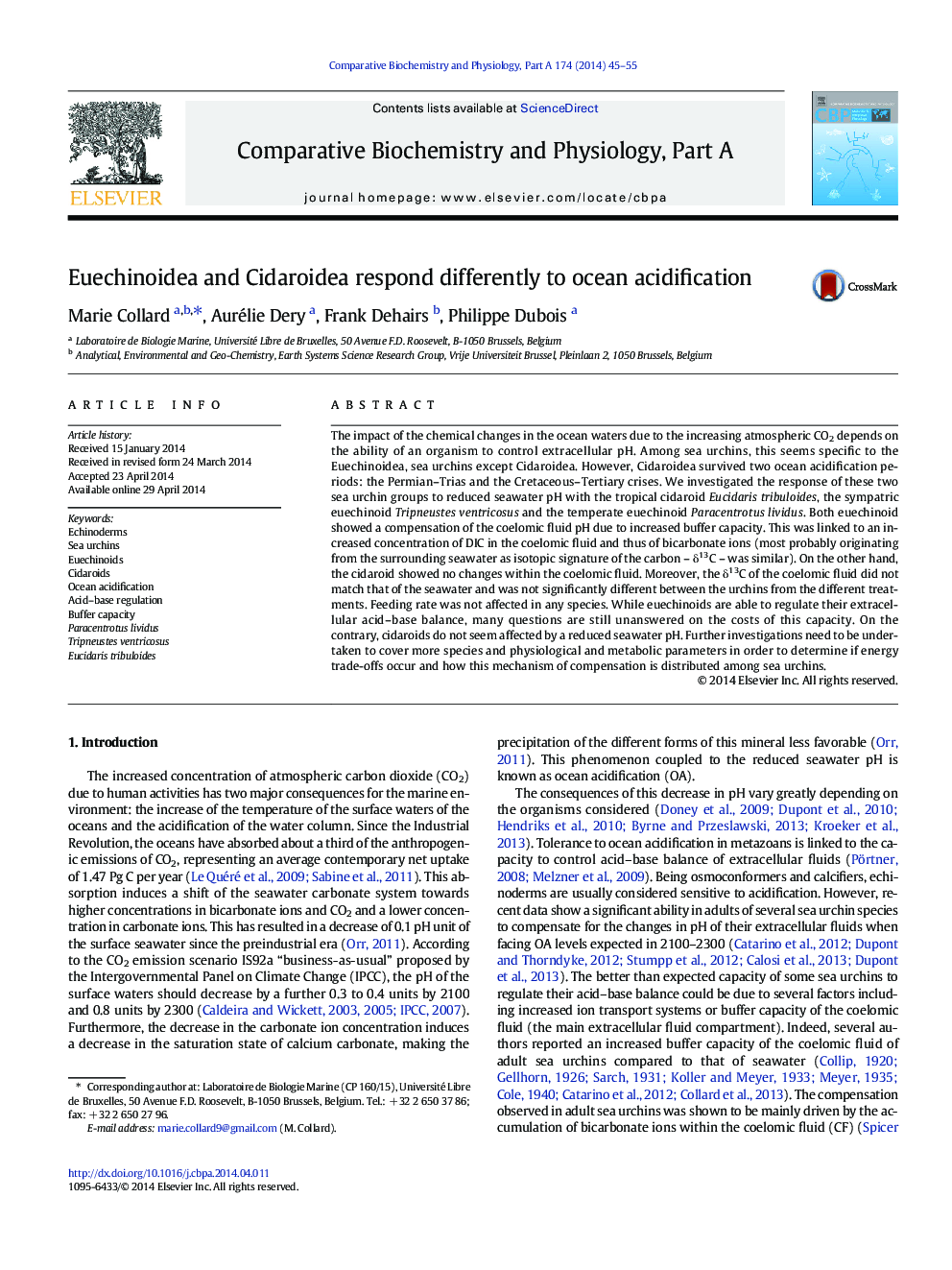 Euechinoidea and Cidaroidea respond differently to ocean acidification