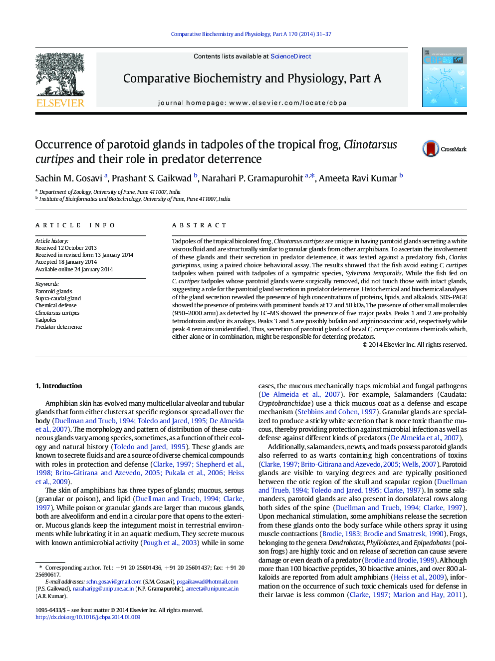 Occurrence of parotoid glands in tadpoles of the tropical frog, Clinotarsus curtipes and their role in predator deterrence