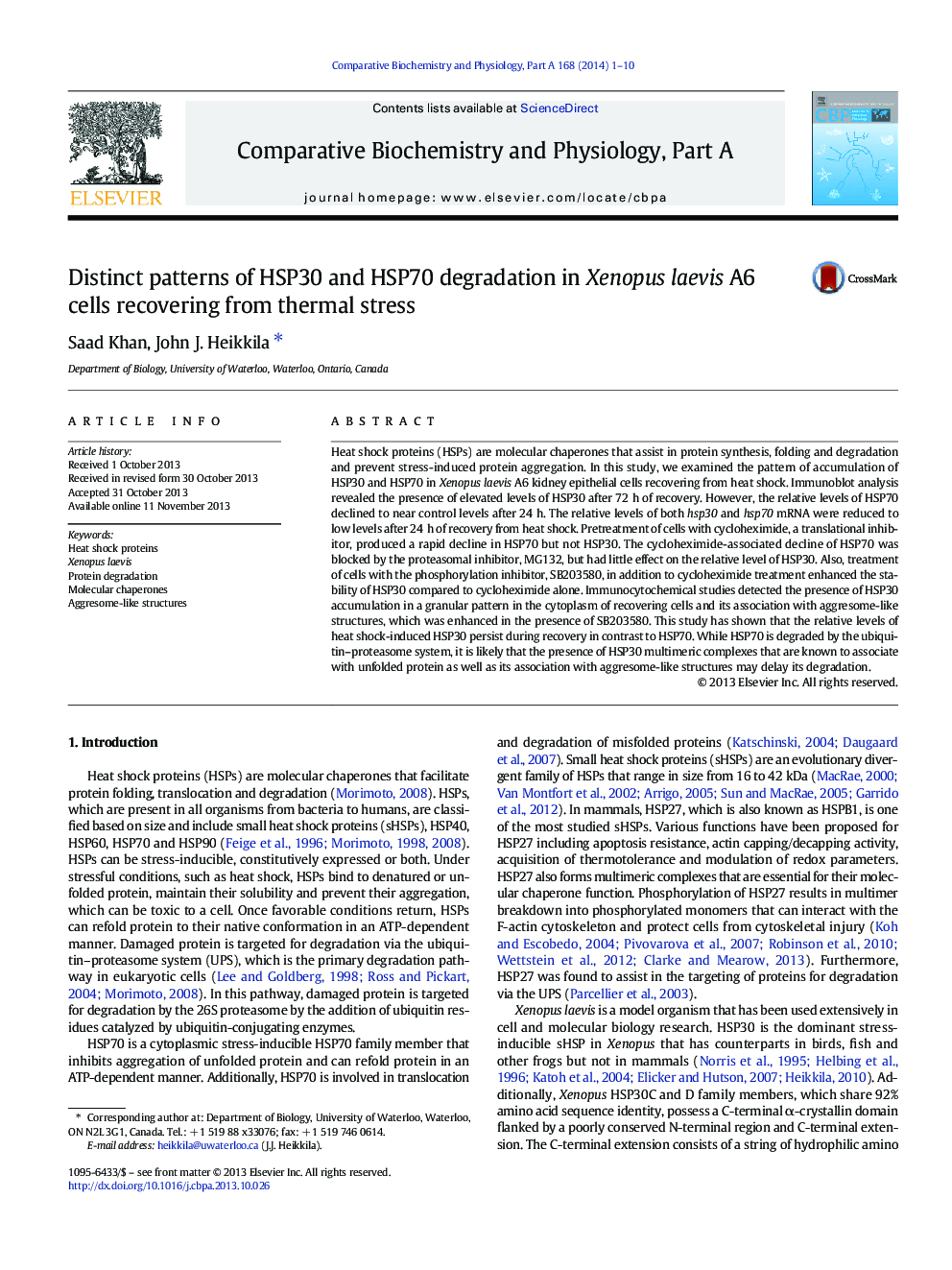 Distinct patterns of HSP30 and HSP70 degradation in Xenopus laevis A6 cells recovering from thermal stress