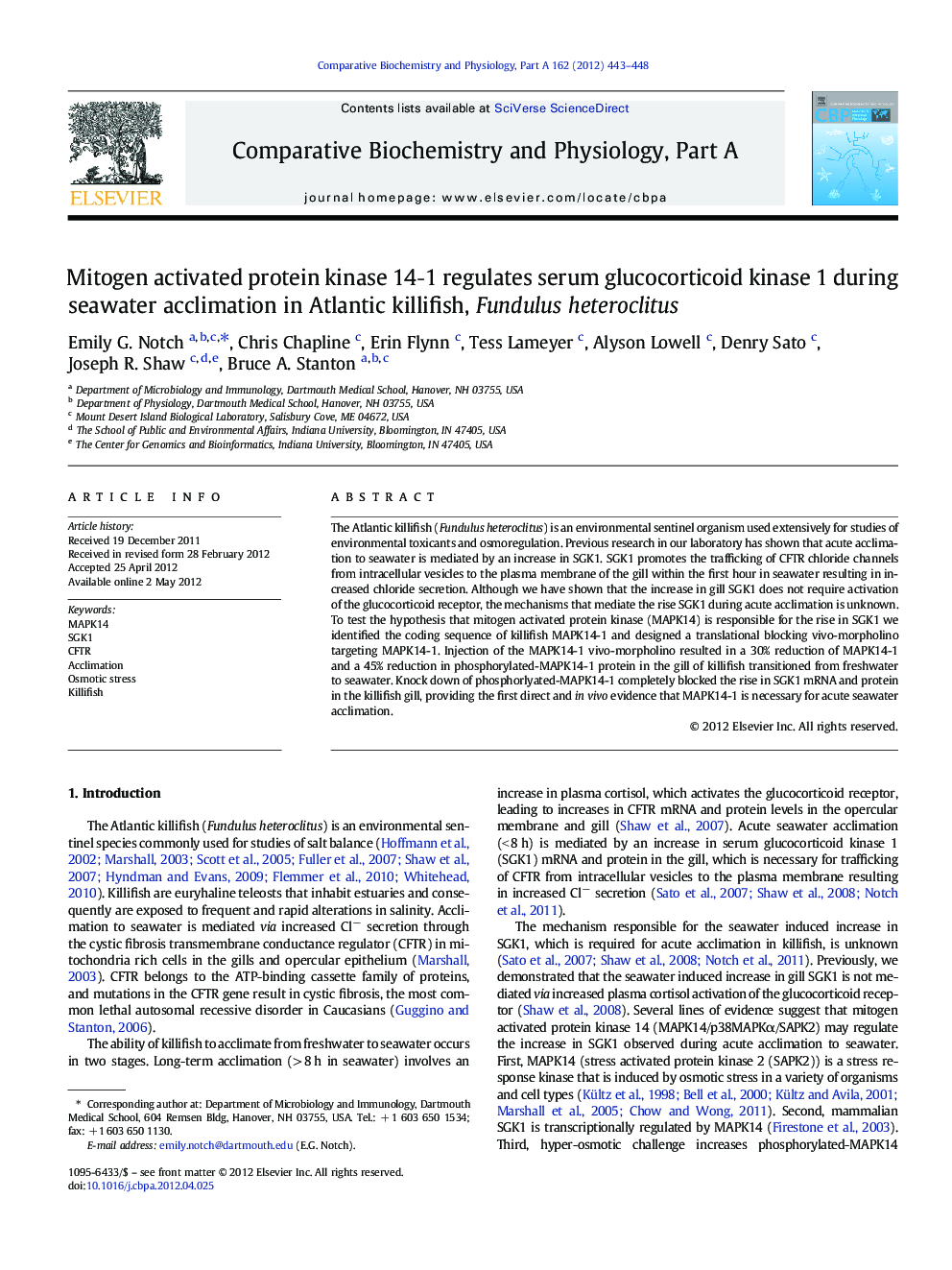 Mitogen activated protein kinase 14‐1 regulates serum glucocorticoid kinase 1 during seawater acclimation in Atlantic killifish, Fundulus heteroclitus