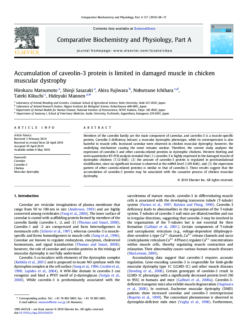 Accumulation of caveolin-3 protein is limited in damaged muscle in chicken muscular dystrophy