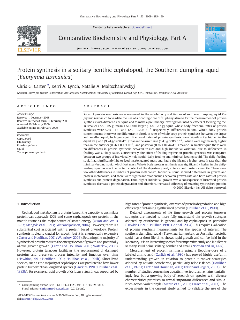 Protein synthesis in a solitary benthic cephalopod, the Southern dumpling squid (Euprymna tasmanica)