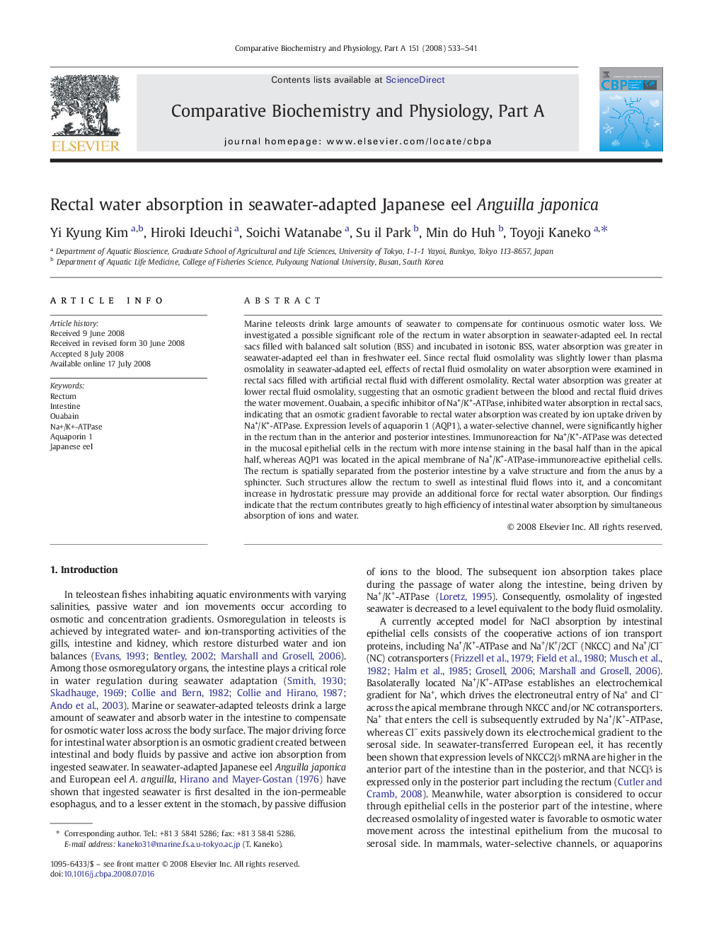 Rectal water absorption in seawater-adapted Japanese eel Anguilla japonica