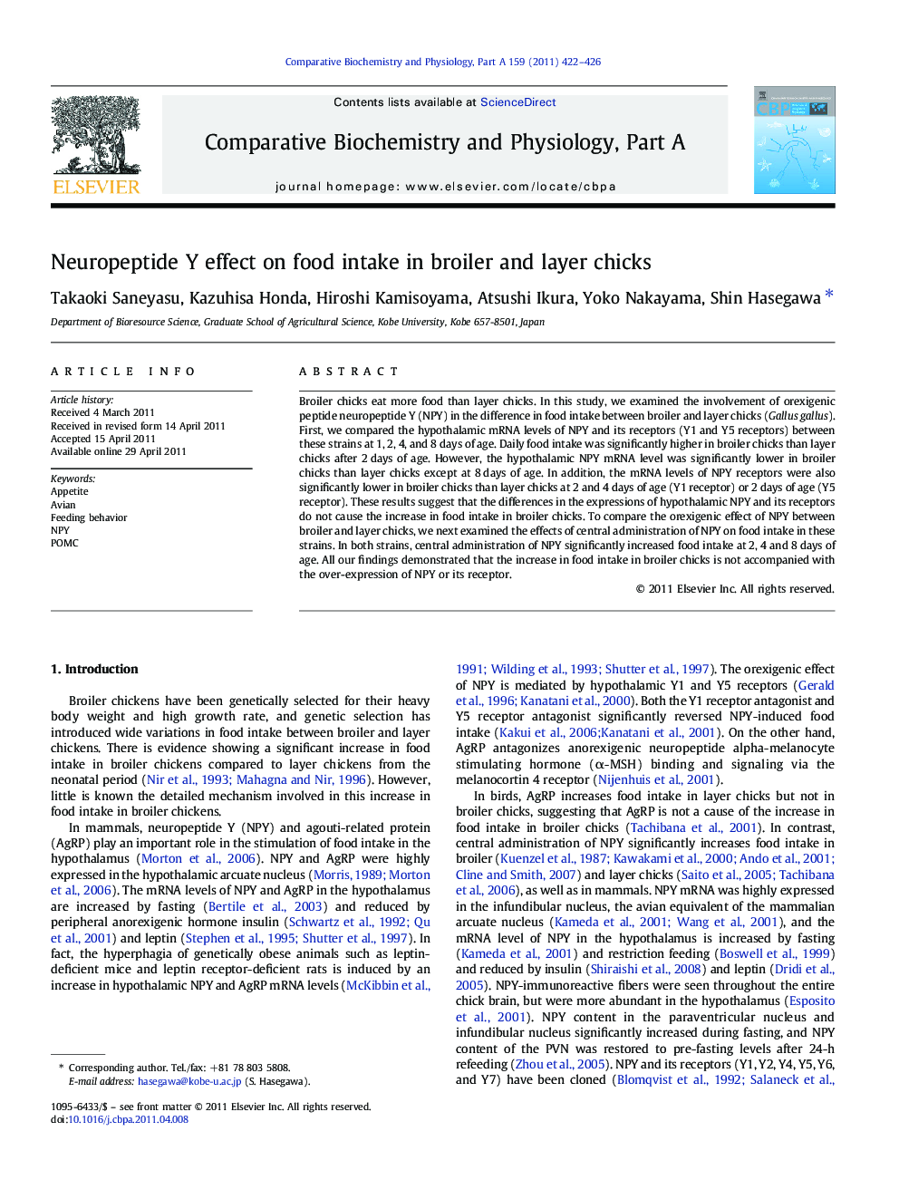 Neuropeptide Y effect on food intake in broiler and layer chicks