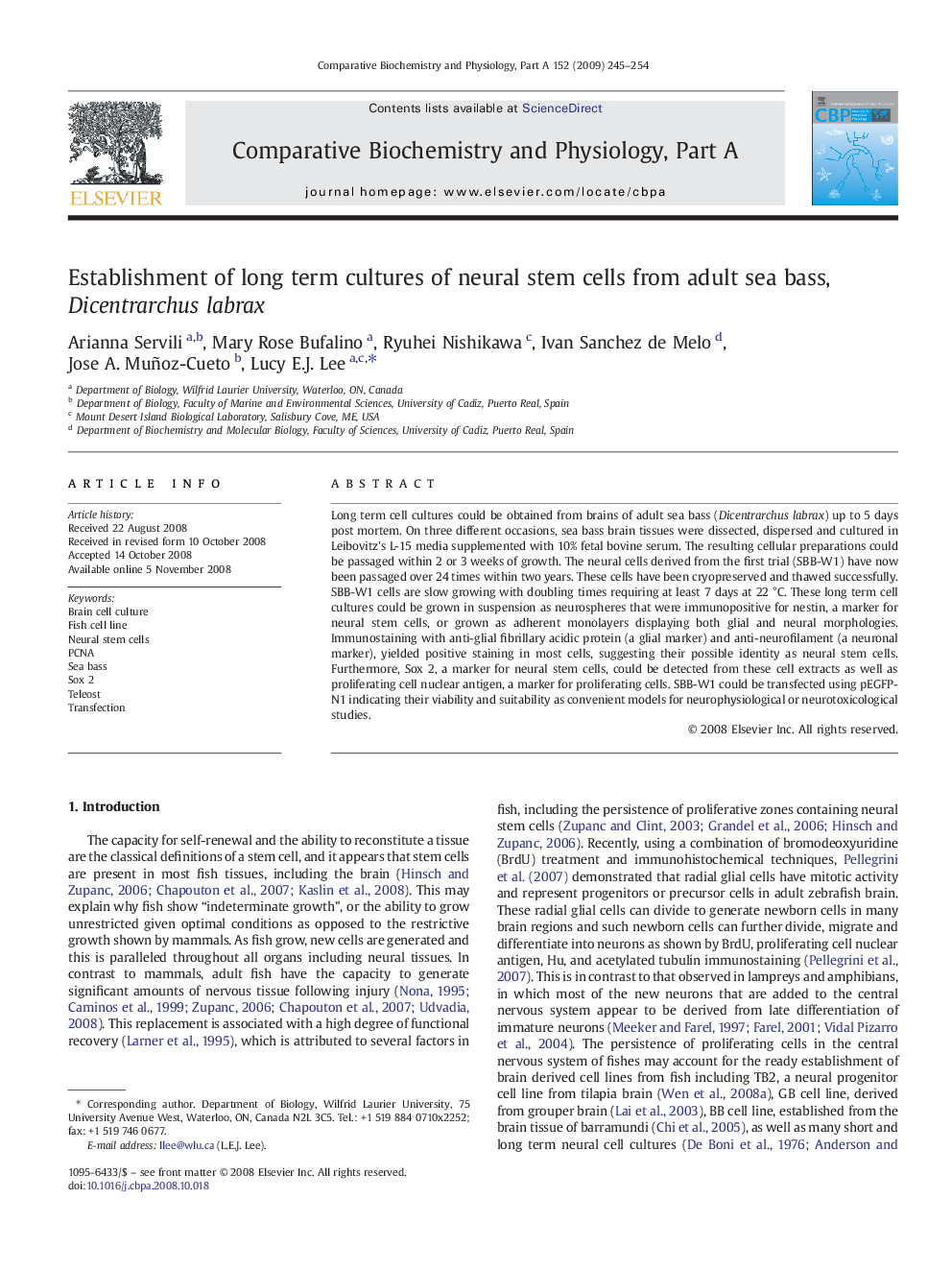 Establishment of long term cultures of neural stem cells from adult sea bass, Dicentrarchus labrax