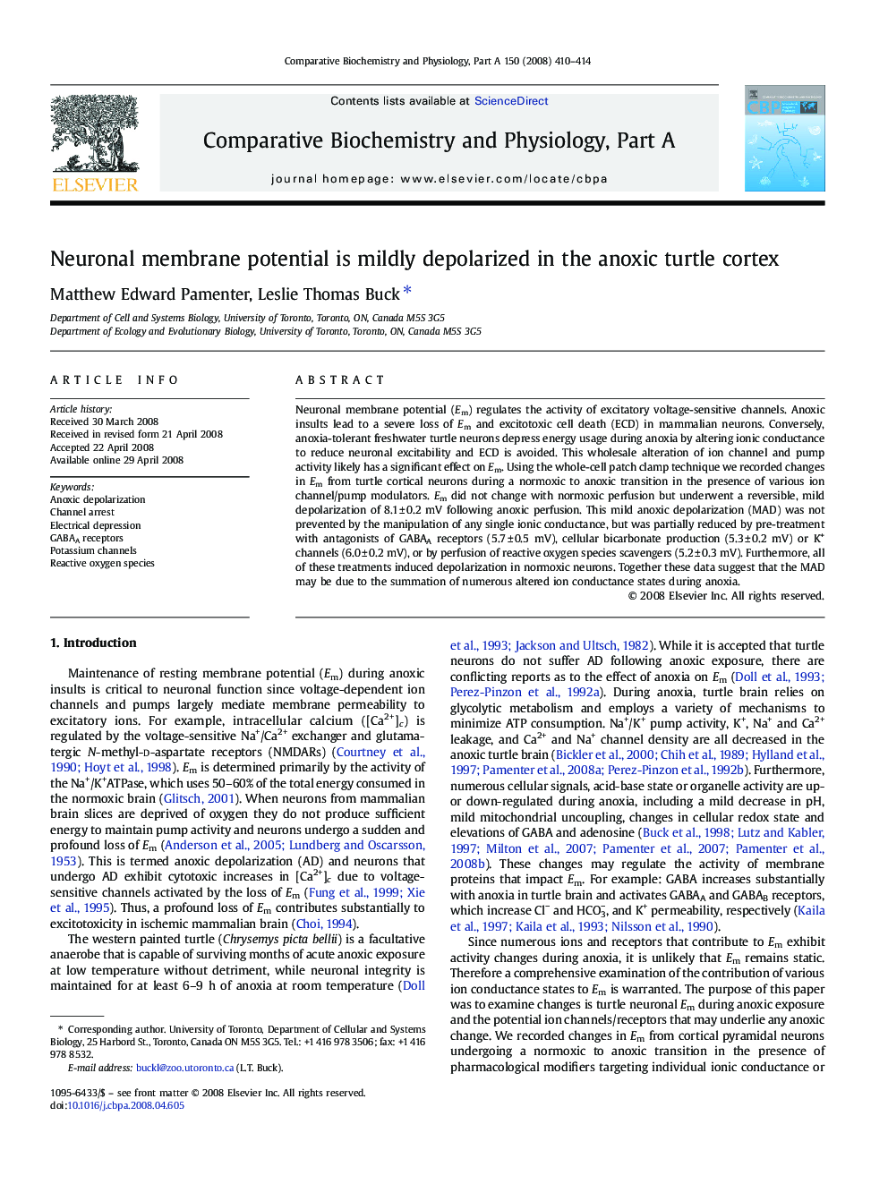 Neuronal membrane potential is mildly depolarized in the anoxic turtle cortex