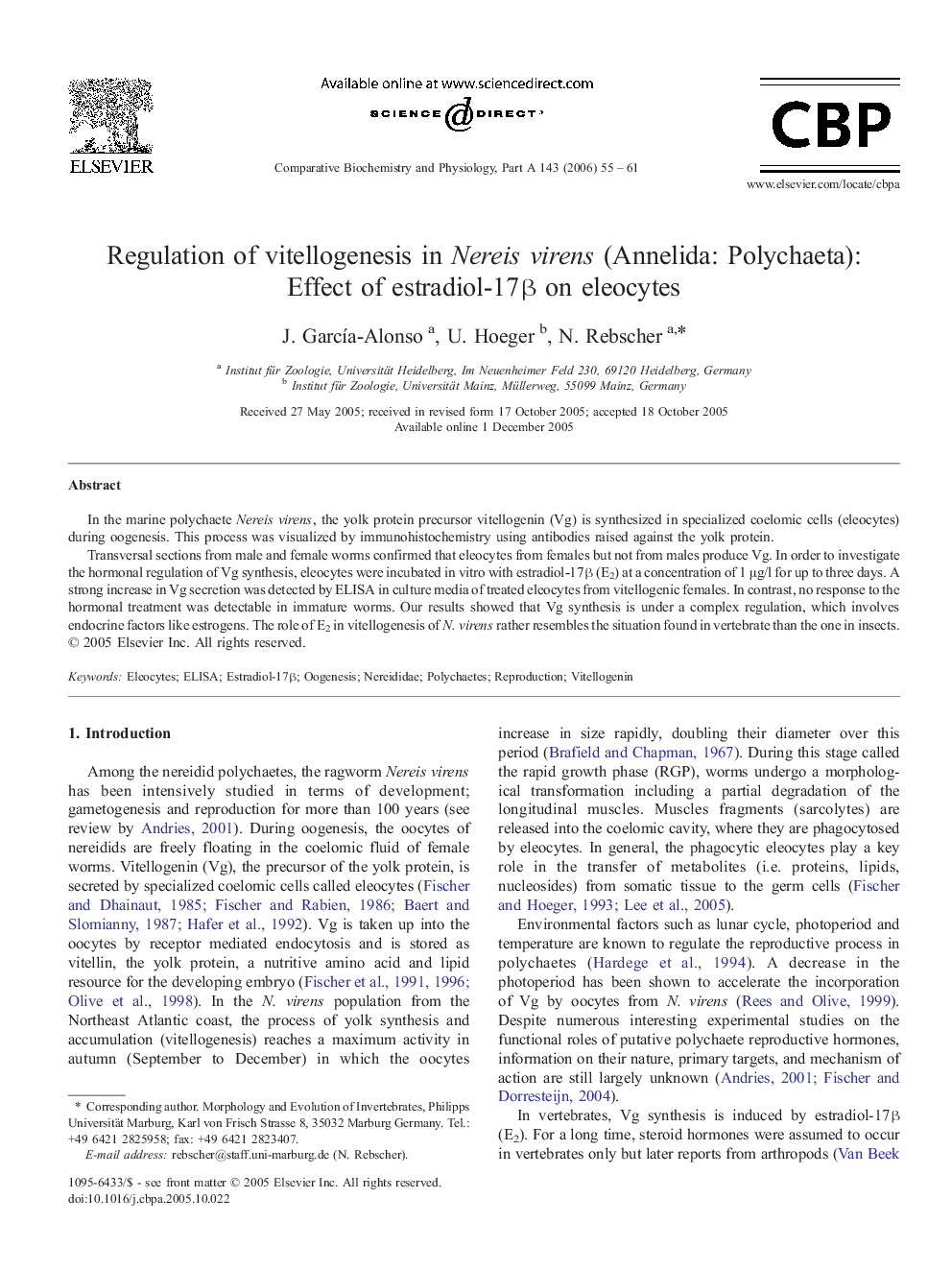 Regulation of vitellogenesis in Nereis virens (Annelida: Polychaeta): Effect of estradiol-17β on eleocytes