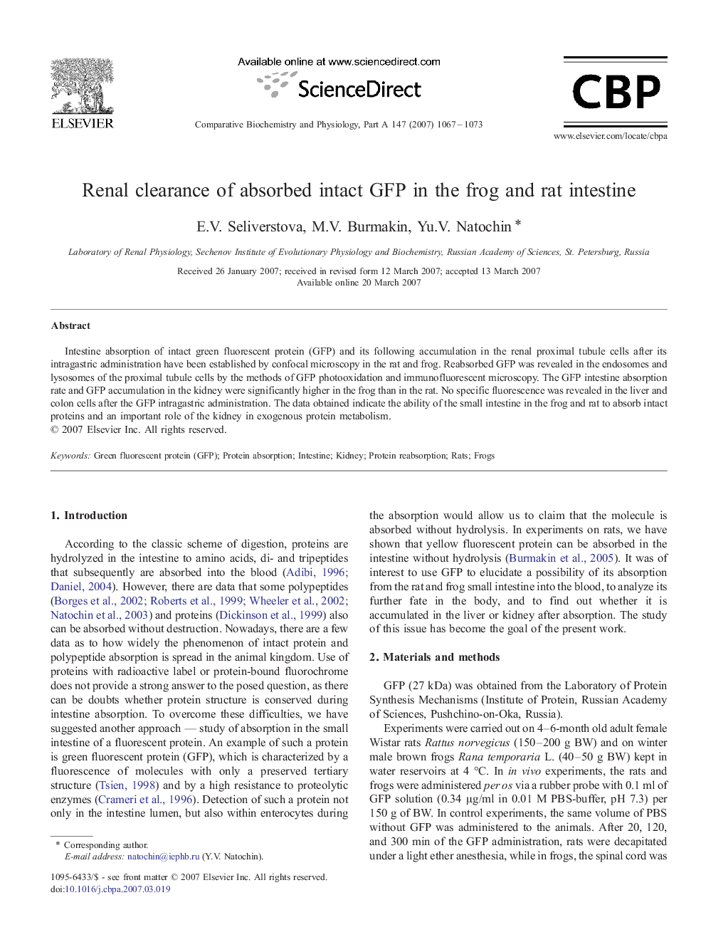 Renal clearance of absorbed intact GFP in the frog and rat intestine