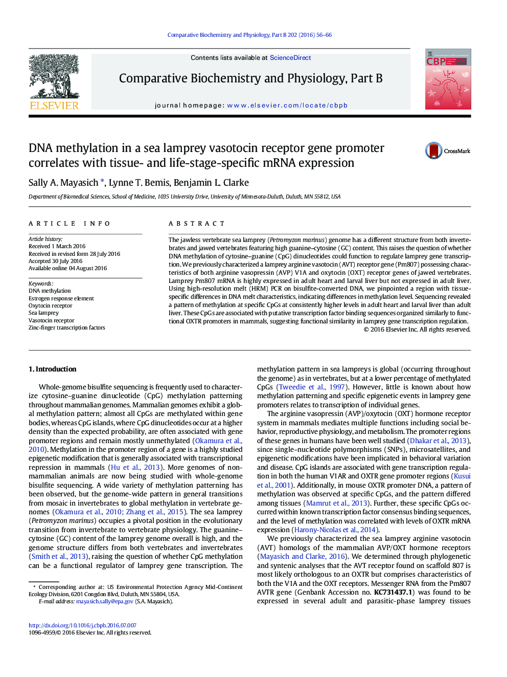 DNA methylation in a sea lamprey vasotocin receptor gene promoter correlates with tissue- and life-stage-specific mRNA expression