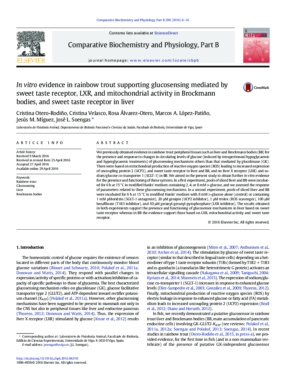 In vitro evidence in rainbow trout supporting glucosensing mediated by sweet taste receptor, LXR, and mitochondrial activity in Brockmann bodies, and sweet taste receptor in liver