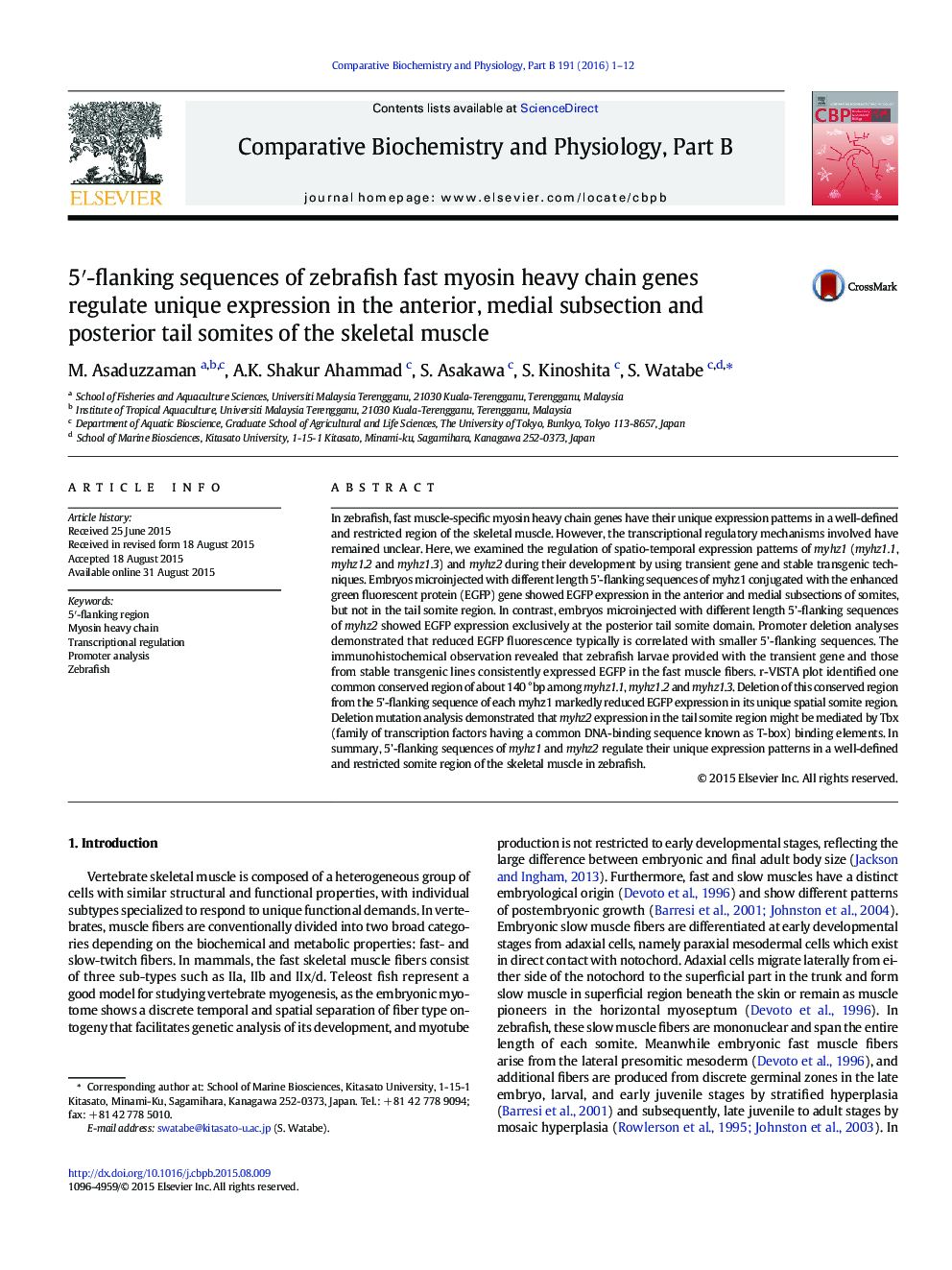 5â²-flanking sequences of zebrafish fast myosin heavy chain genes regulate unique expression in the anterior, medial subsection and posterior tail somites of the skeletal muscle