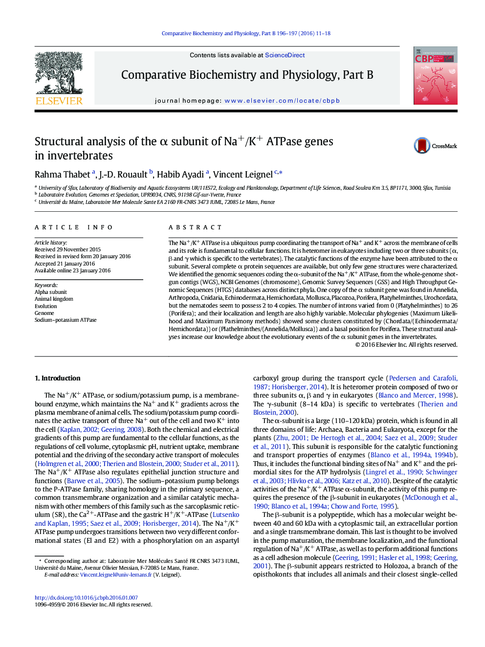 Structural analysis of the α subunit of Na+/K+ ATPase genes in invertebrates