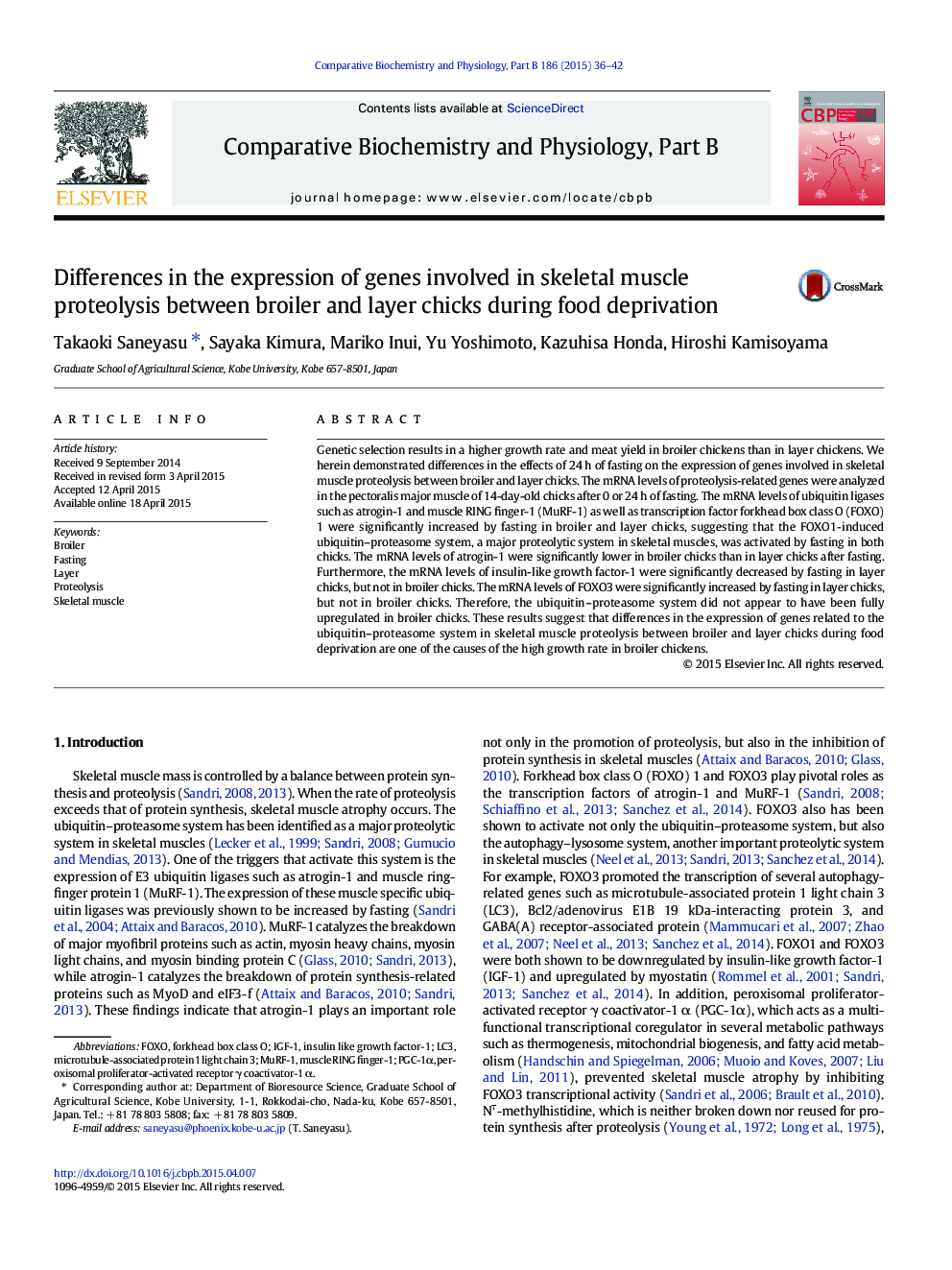 Differences in the expression of genes involved in skeletal muscle proteolysis between broiler and layer chicks during food deprivation