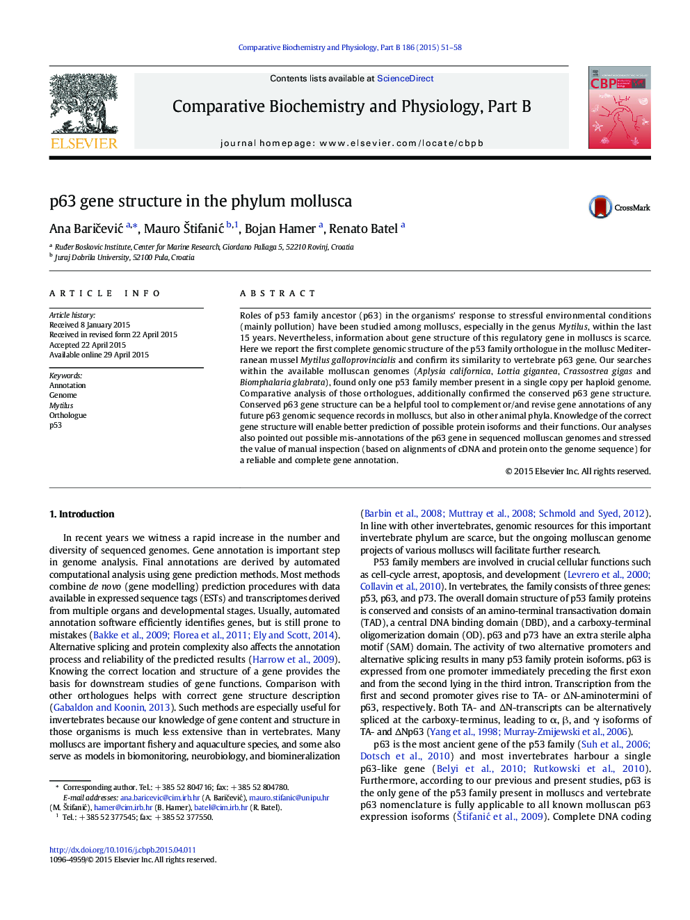 p63 gene structure in the phylum mollusca