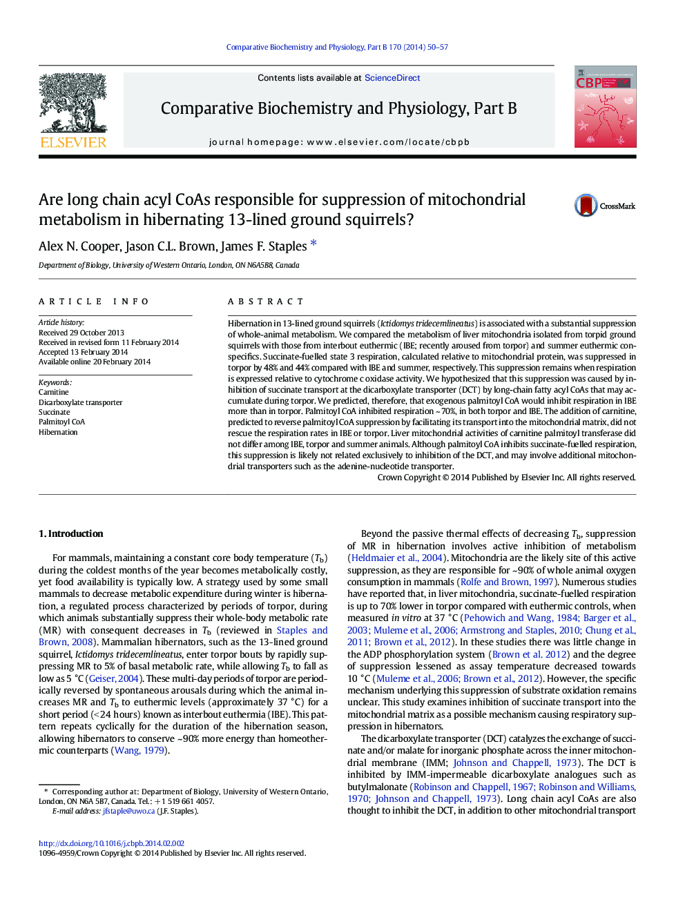 Are long chain acyl CoAs responsible for suppression of mitochondrial metabolism in hibernating 13-lined ground squirrels?