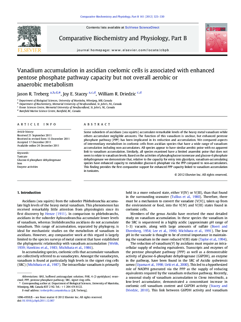 Vanadium accumulation in ascidian coelomic cells is associated with enhanced pentose phosphate pathway capacity but not overall aerobic or anaerobic metabolism