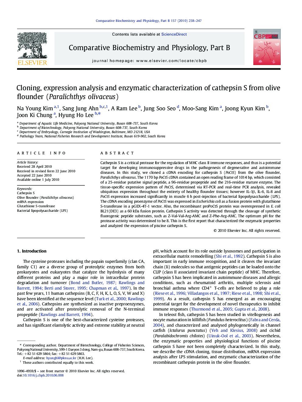 Cloning, expression analysis and enzymatic characterization of cathepsin S from olive flounder (Paralichthys olivaceus)