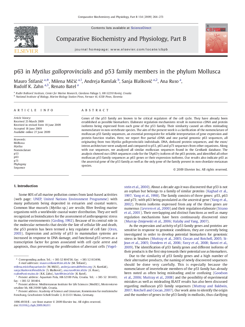 p63 in Mytilus galloprovincialis and p53 family members in the phylum Mollusca