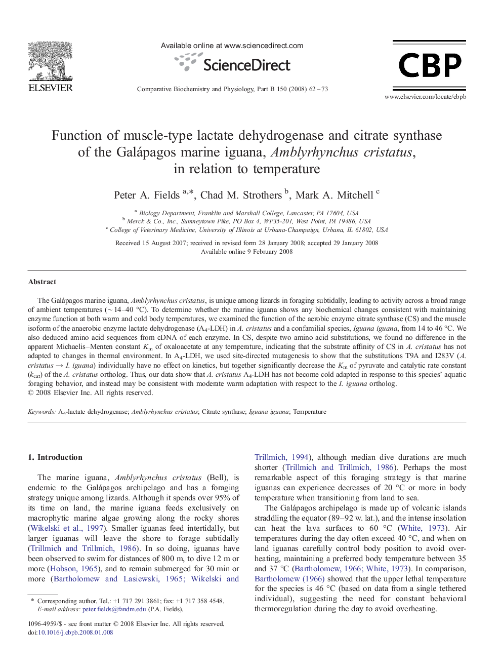 Function of muscle-type lactate dehydrogenase and citrate synthase of the Galápagos marine iguana, Amblyrhynchus cristatus, in relation to temperature