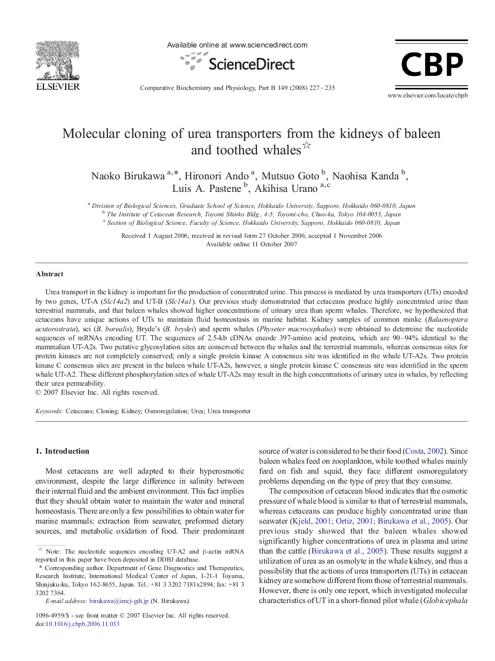 Molecular cloning of urea transporters from the kidneys of baleen and toothed whales 