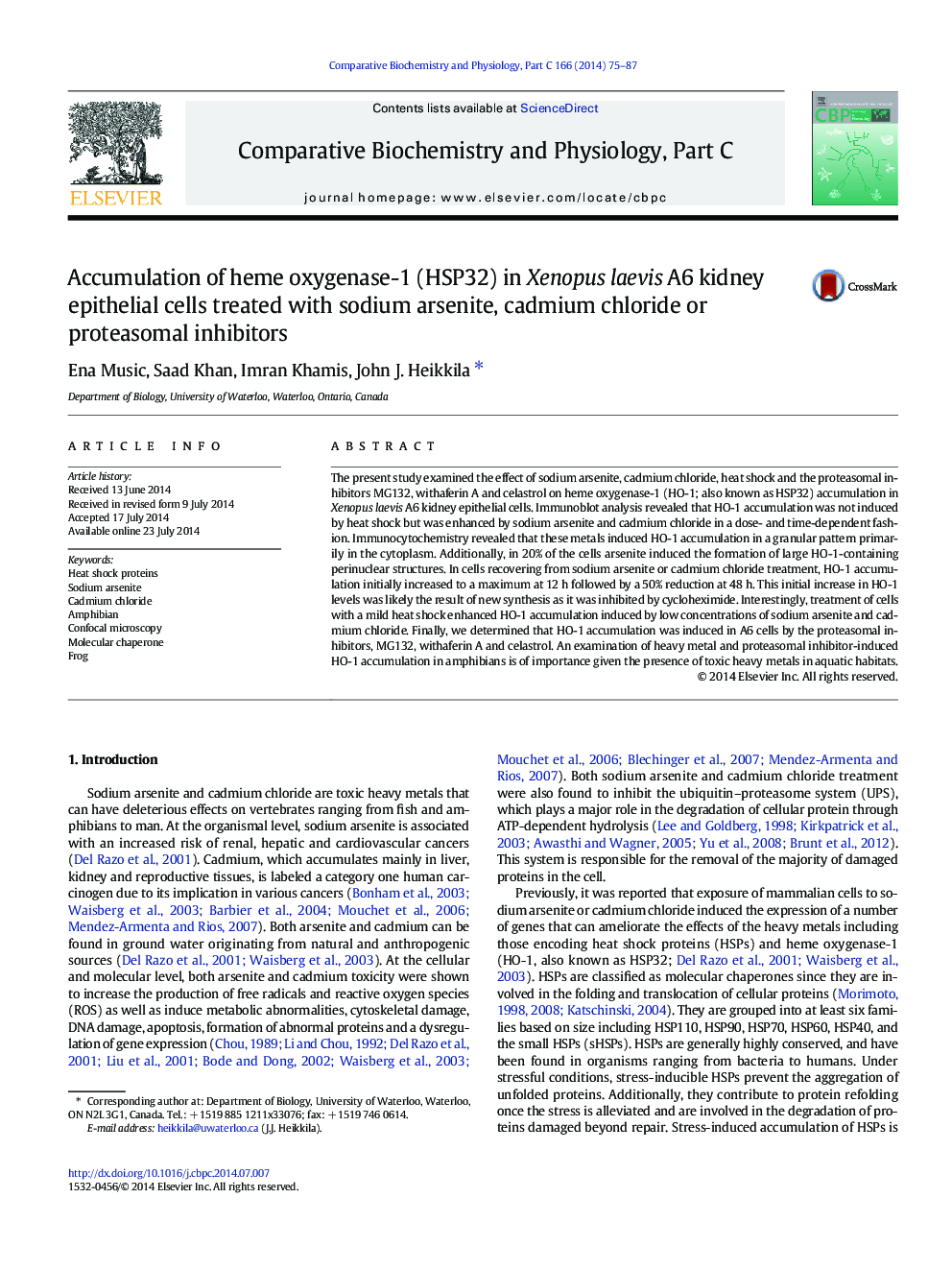 Accumulation of heme oxygenase-1 (HSP32) in Xenopus laevis A6 kidney epithelial cells treated with sodium arsenite, cadmium chloride or proteasomal inhibitors